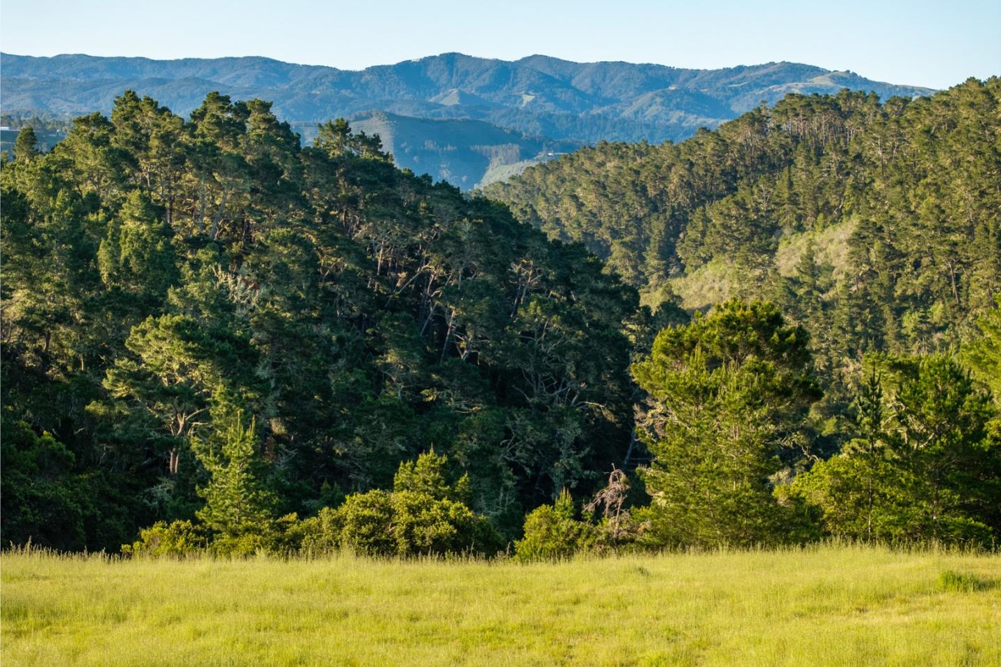 7925 Cinquenta (Lot 97)