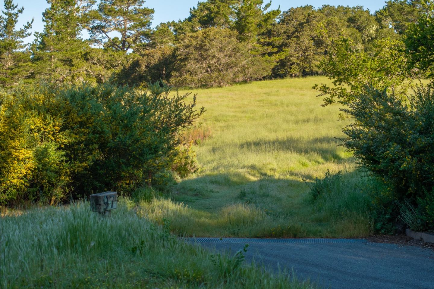 7925 Cinquenta (Lot 97)