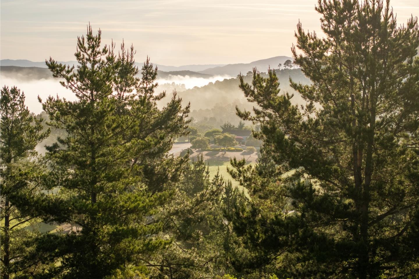 7925 Cinquenta (Lot 97)