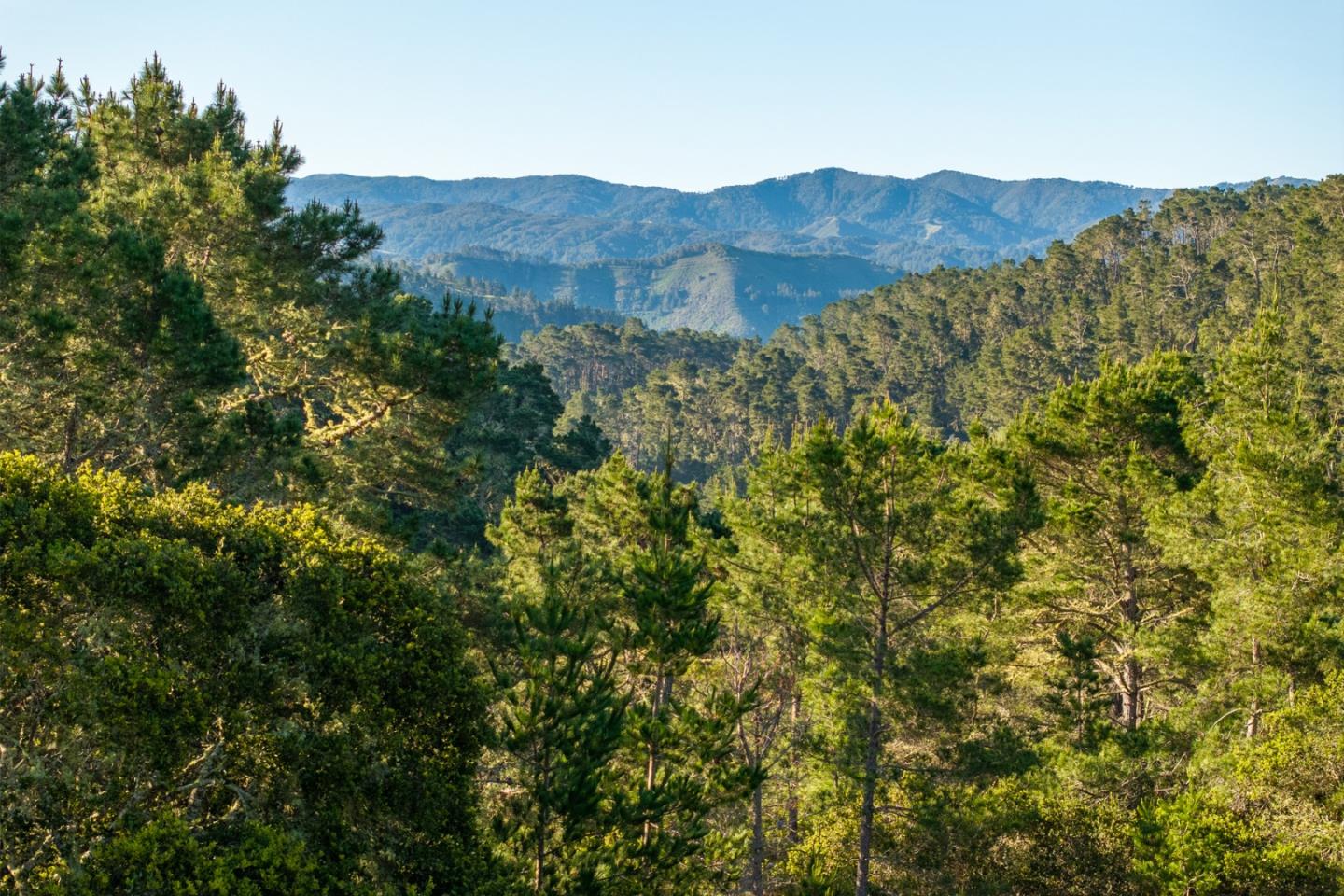 7925 Cinquenta (Lot 97)