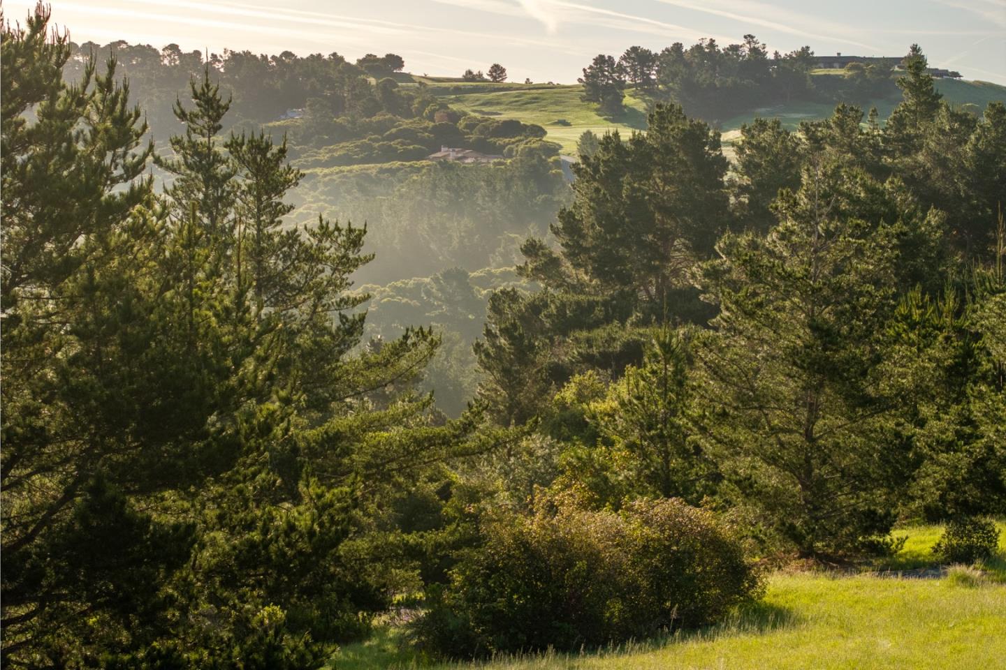 7925 Cinquenta (Lot 97)