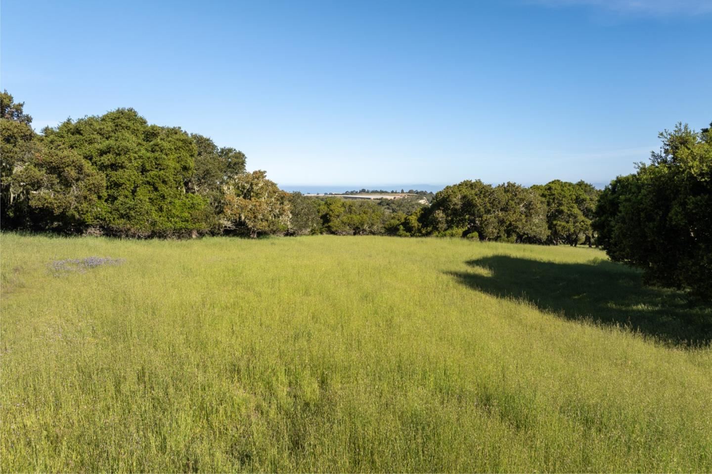 8170 Manjares (Lot 135)