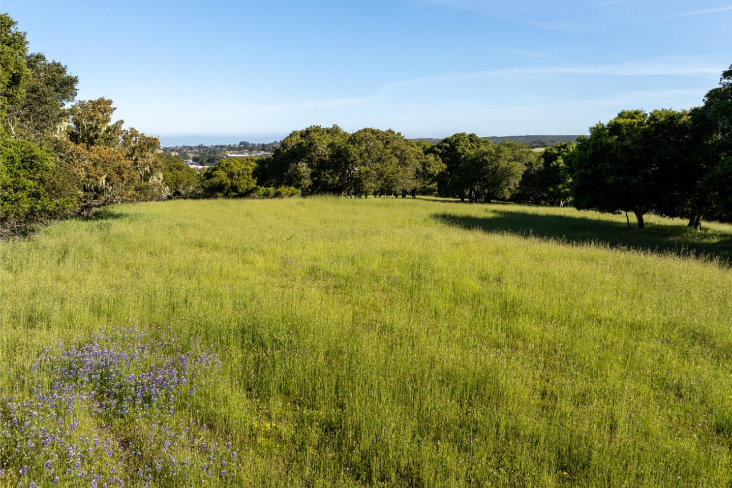 8170 Manjares (Lot 135)