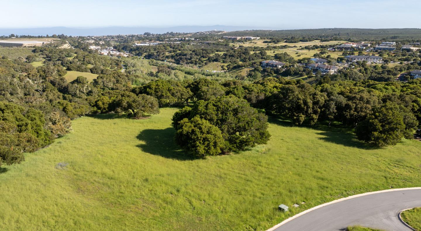 8170 Manjares (Lot 135)
