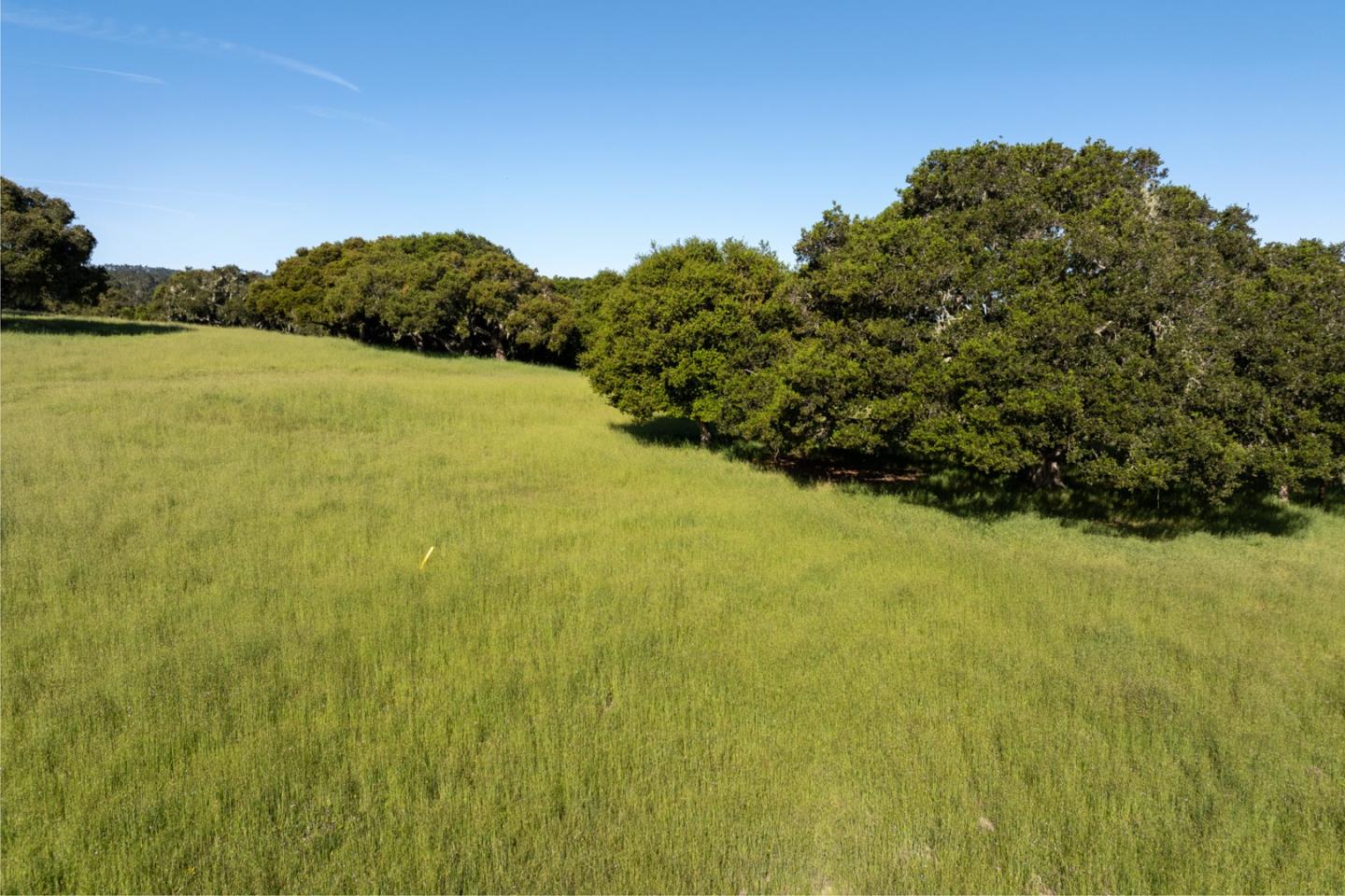 8170 Manjares (Lot 135)
