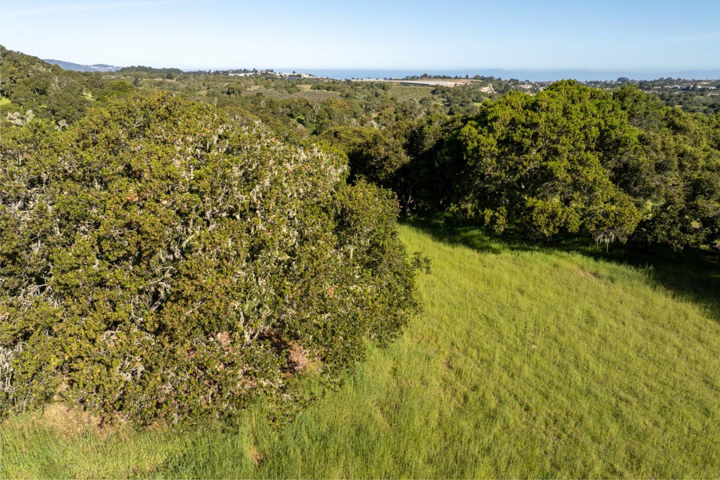 8170 Manjares (Lot 135)