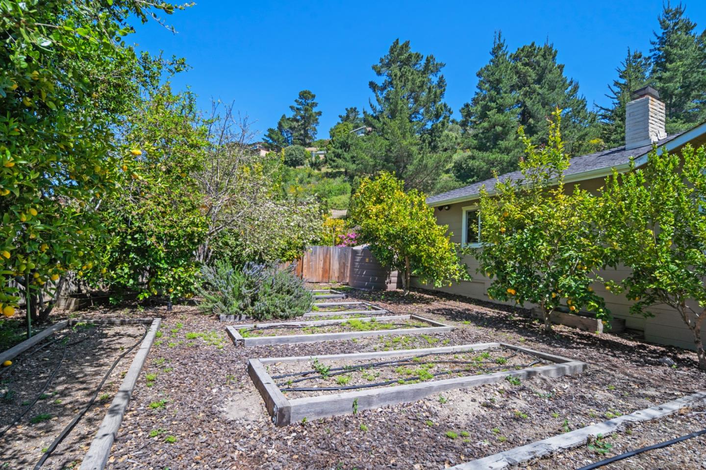 Single Level Carmel Ranch Home