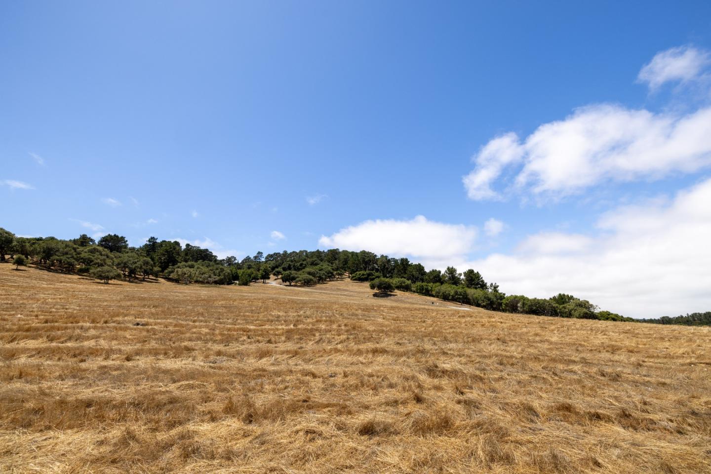 24545 Via Malpaso (Lot 94)