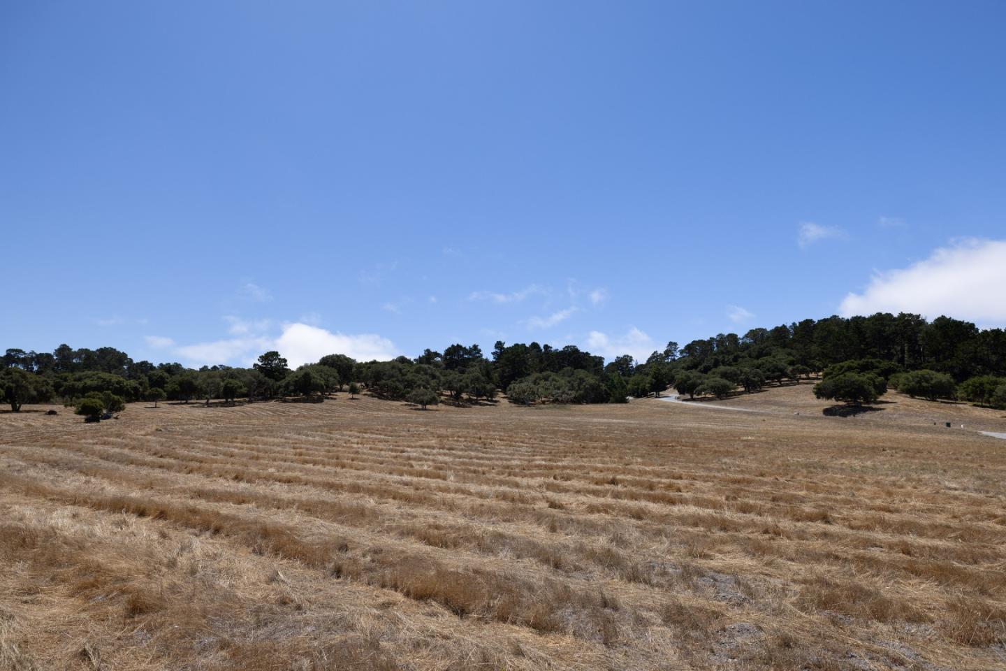 24545 Via Malpaso (Lot 94)