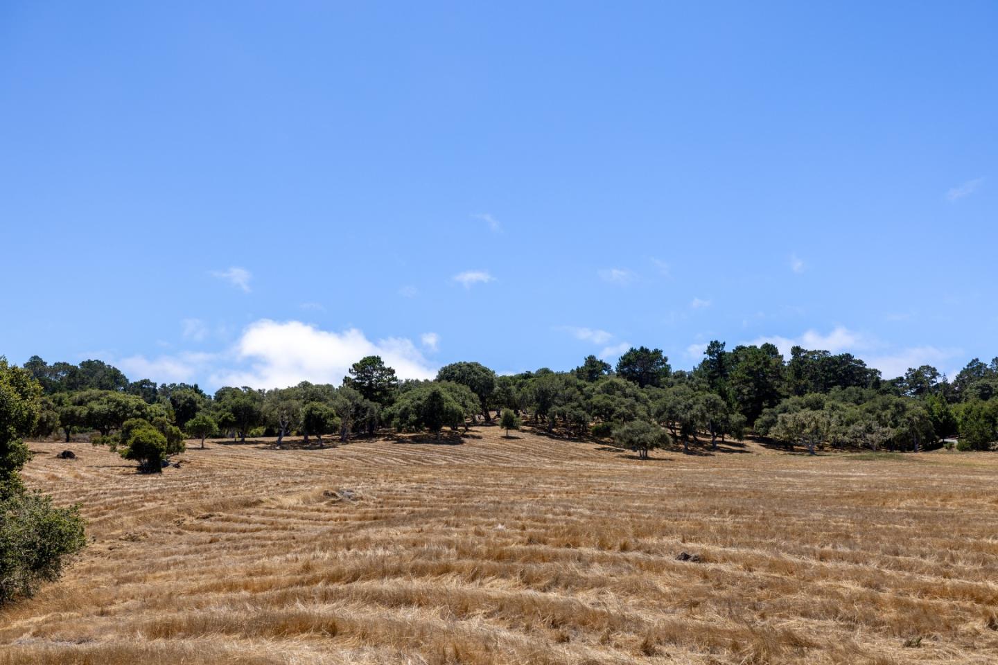 24545 Via Malpaso (Lot 94)