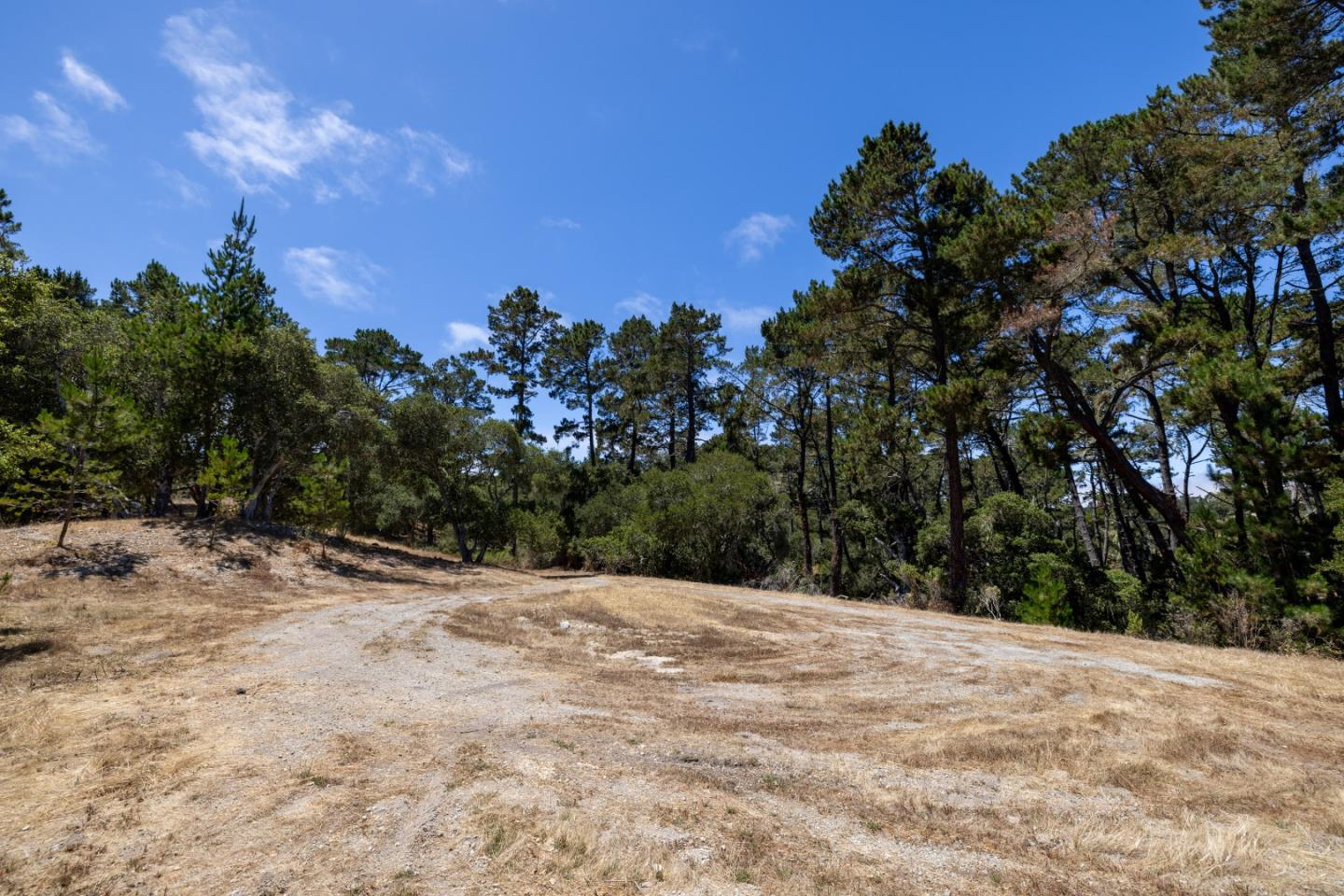 0 Paseo Venado (Lot 116)