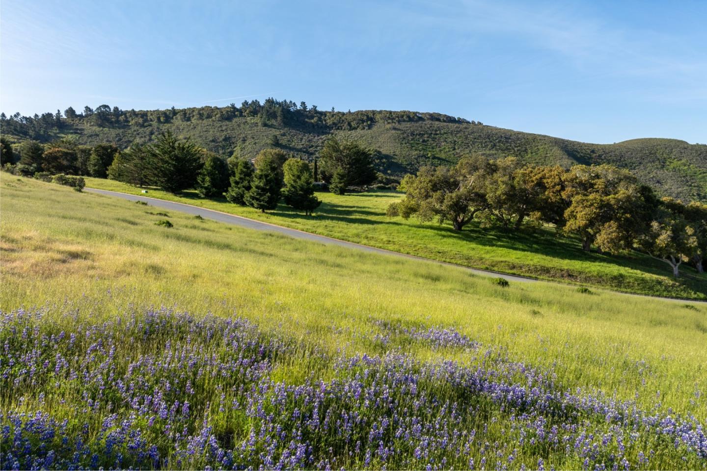 25825 Via Malpaso (Lot 68)