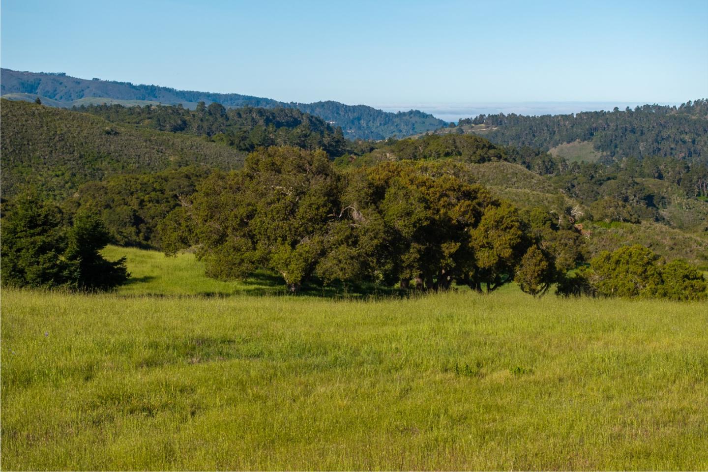 25825 Via Malpaso (Lot 68)