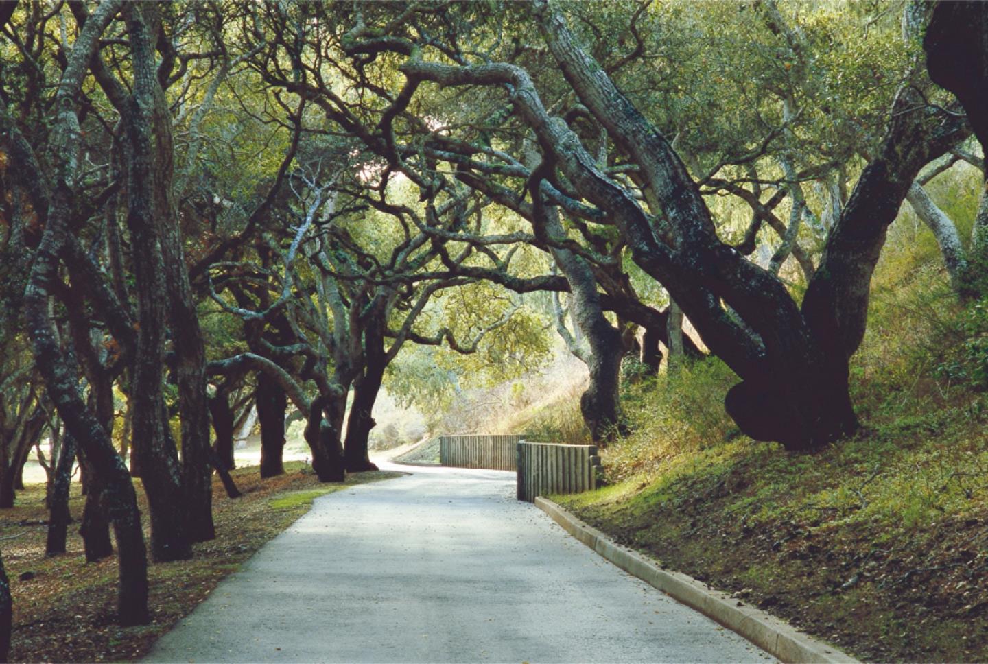 25825 Via Malpaso (Lot 68)