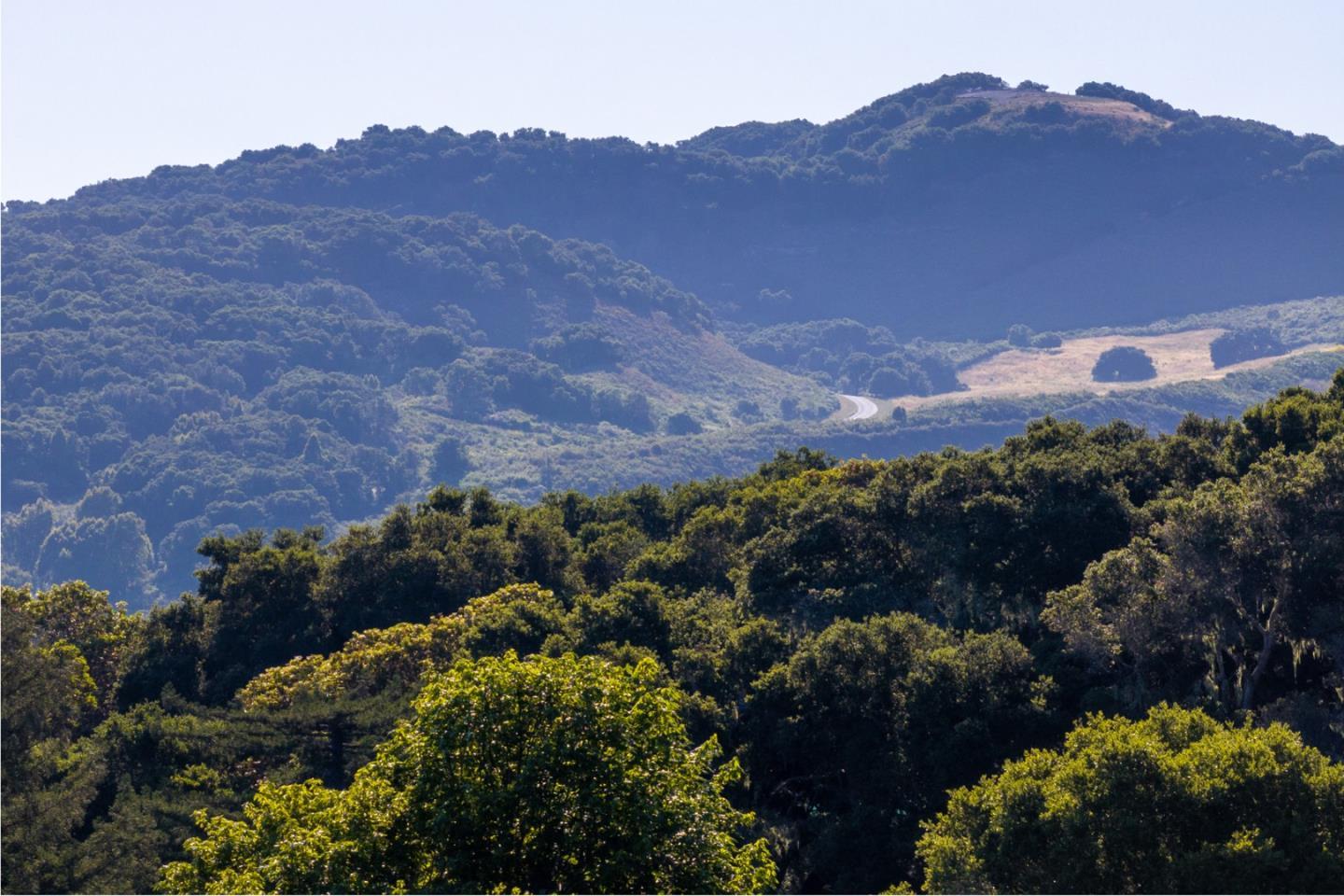 15 Potrero Trail (Lot 188)