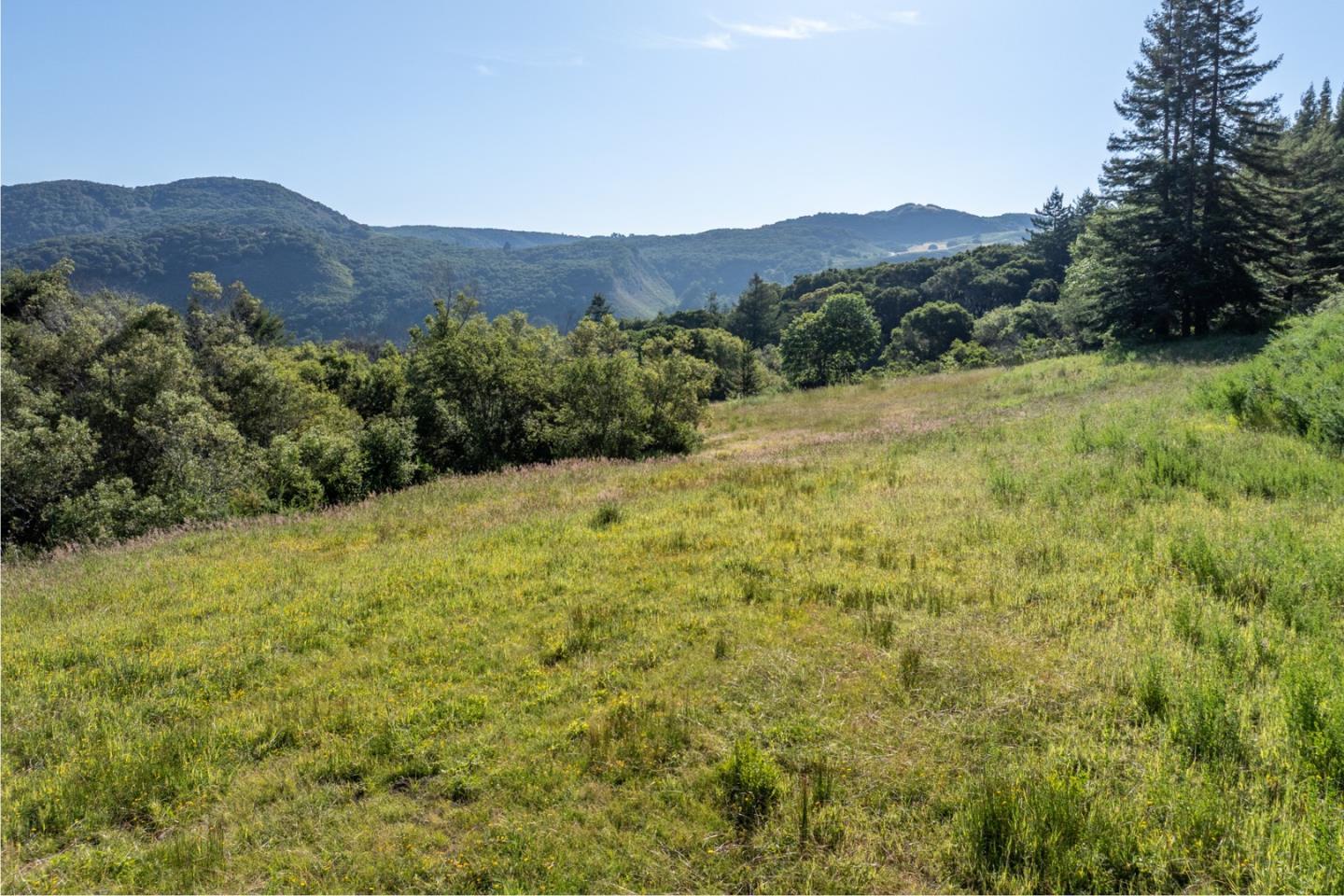 15 Potrero Trail (Lot 188)
