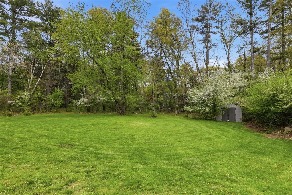 31 Chapman Rd