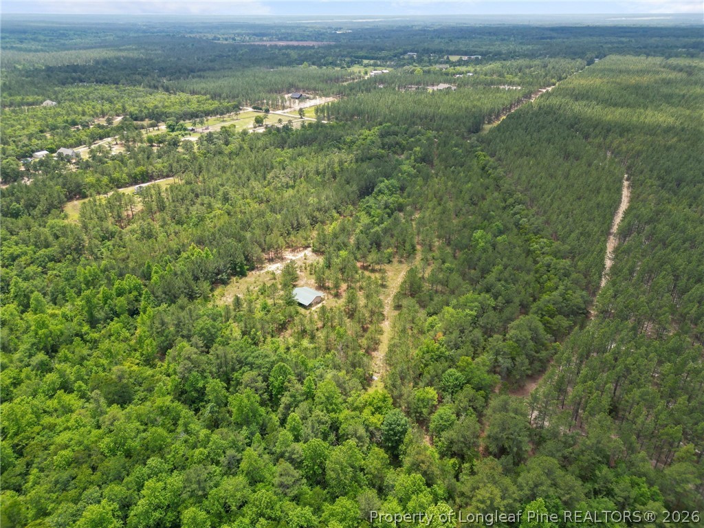 Nighthawk Loop