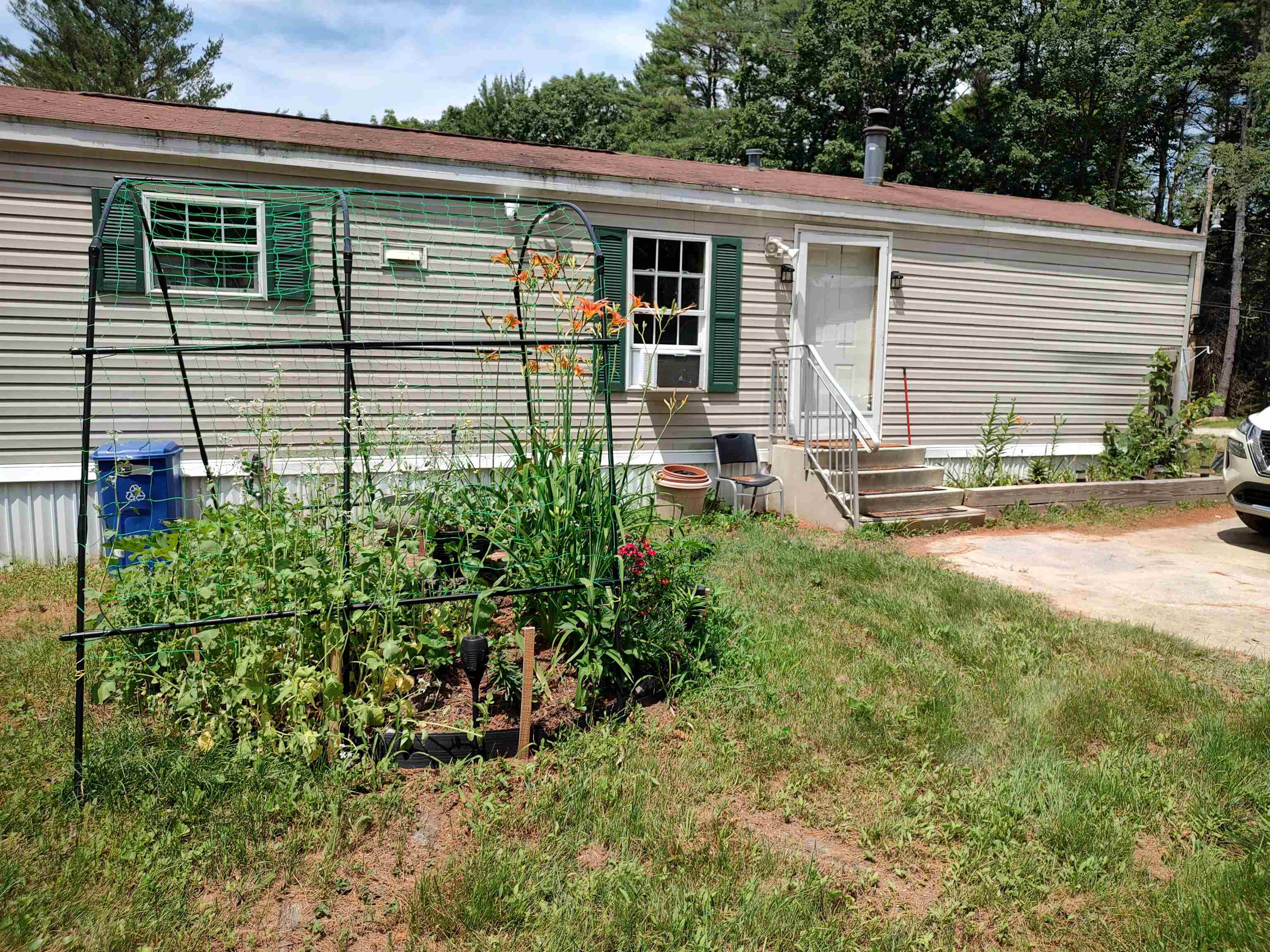 14 Pine Tree Drive