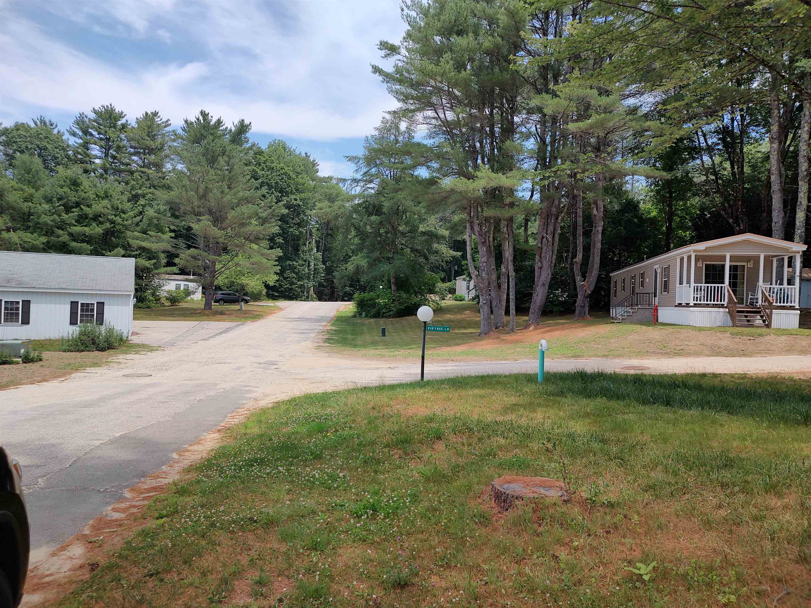 14 Pine Tree Drive