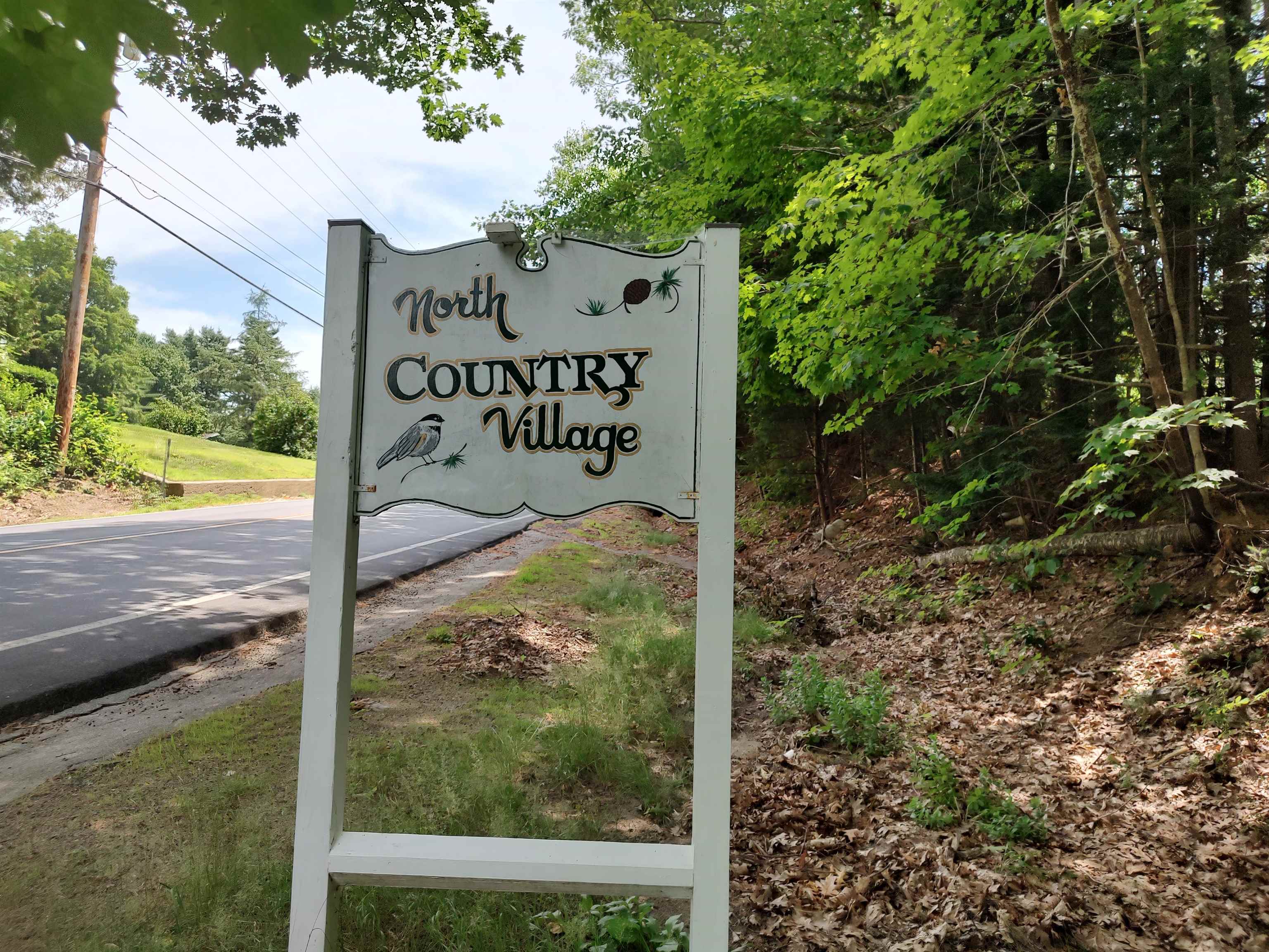 14 Pine Tree Drive