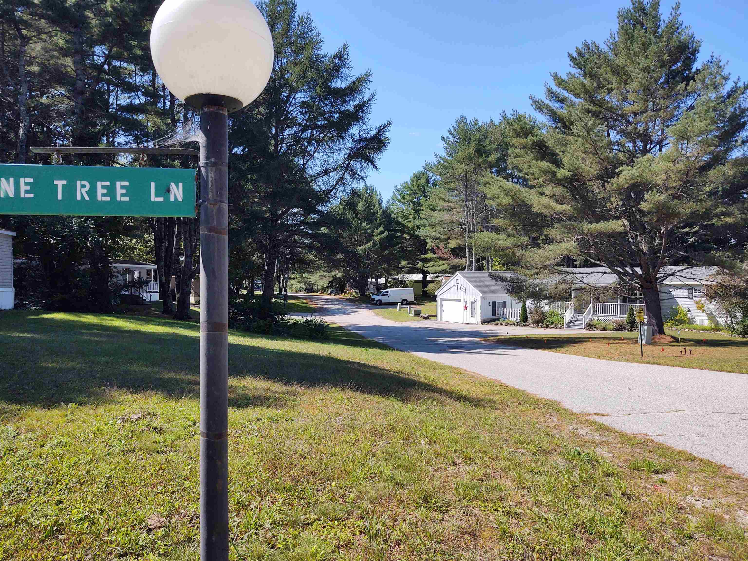 14 Pine Tree Drive
