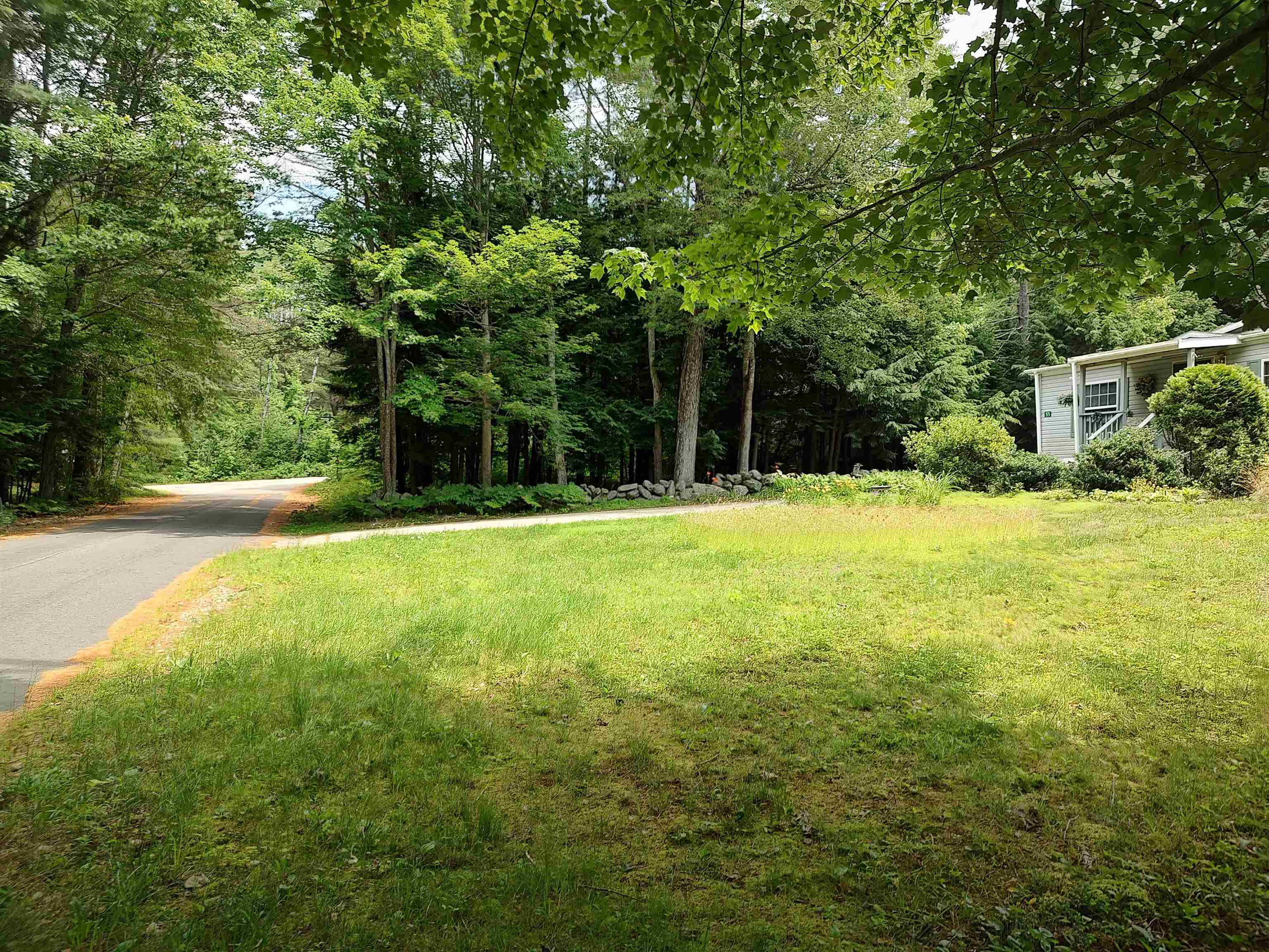 14 Pine Tree Drive