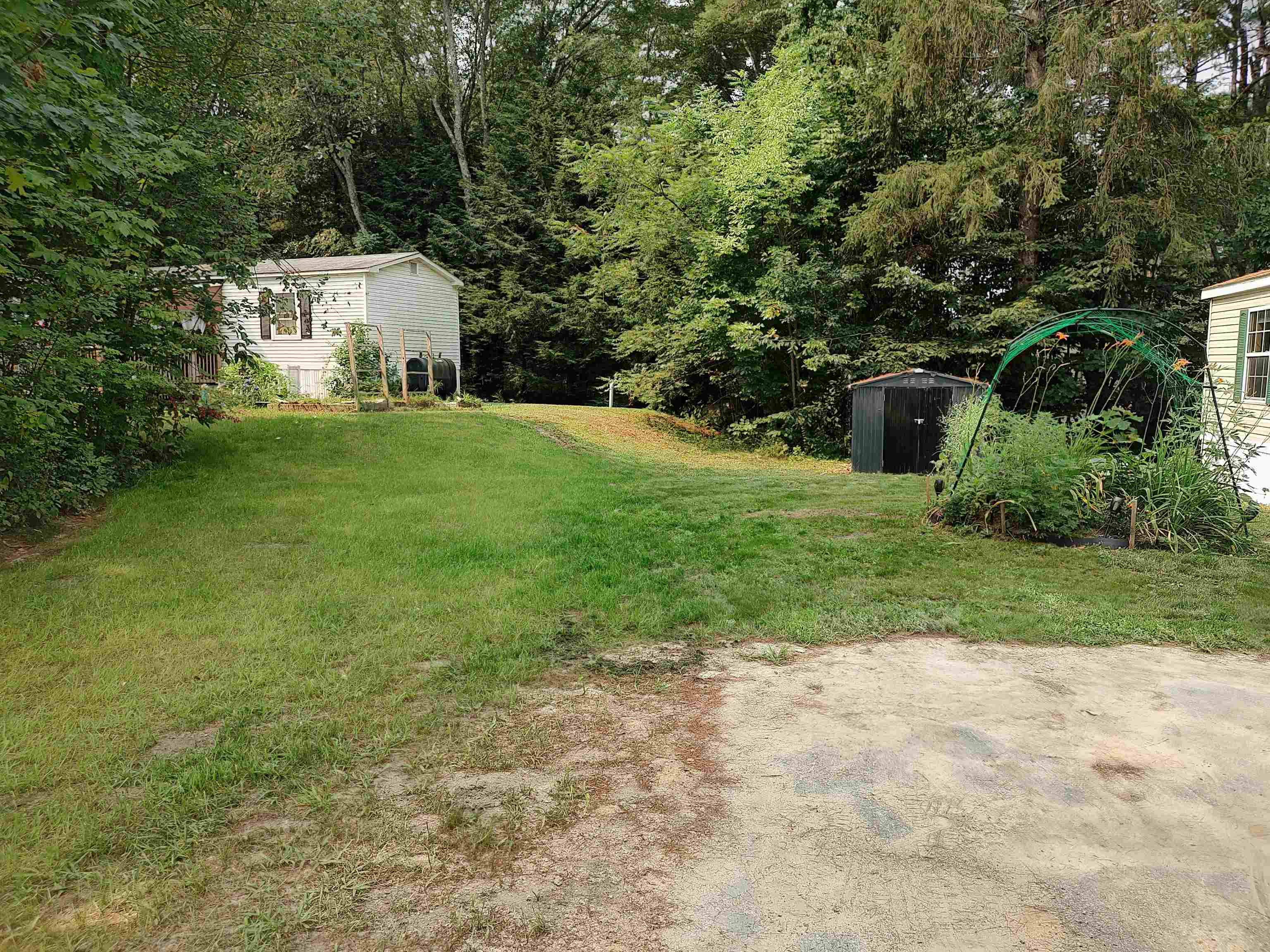 14 Pine Tree Drive