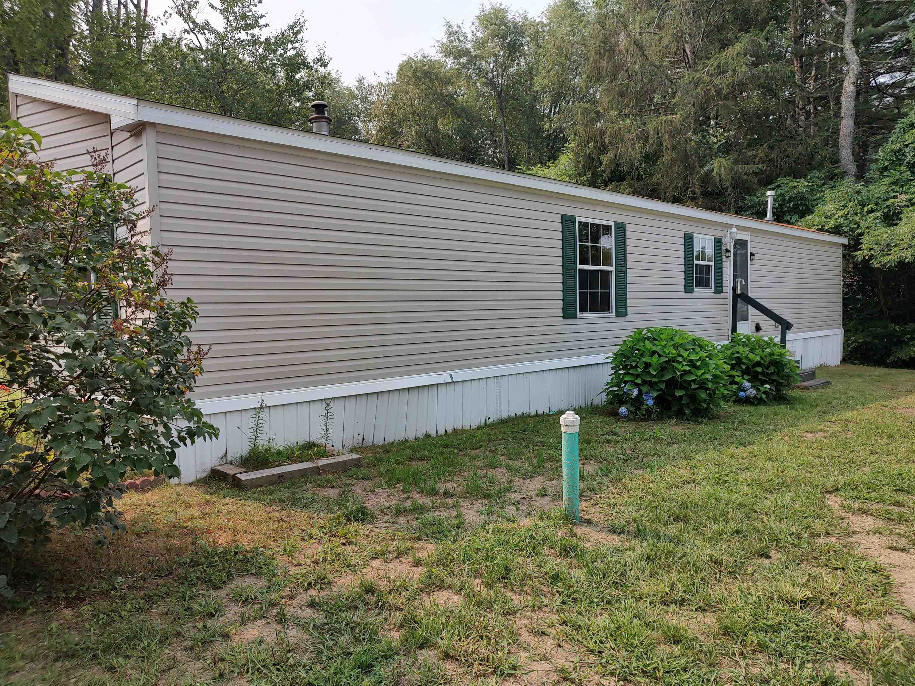 14 Pine Tree Drive