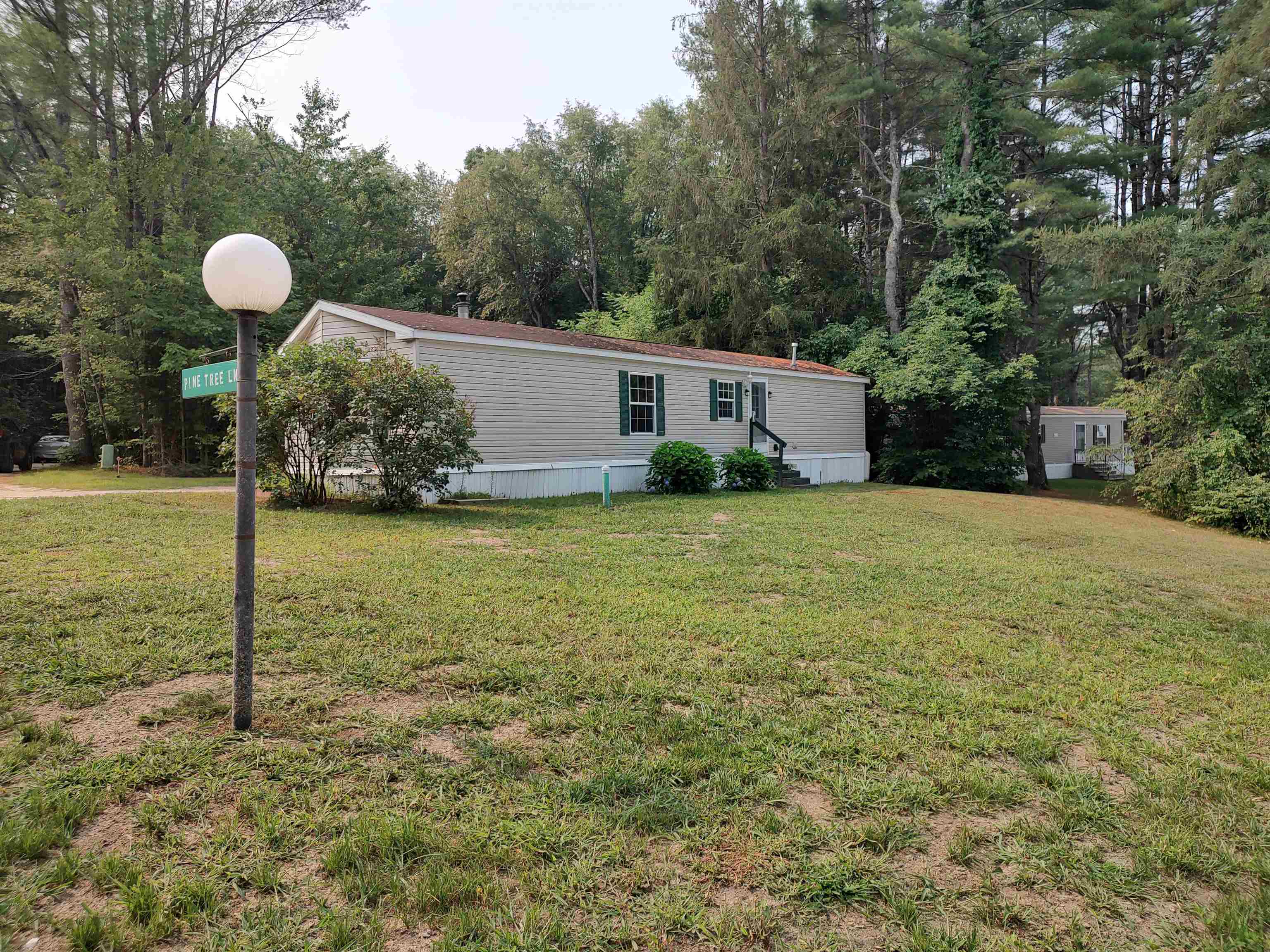 14 Pine Tree Drive