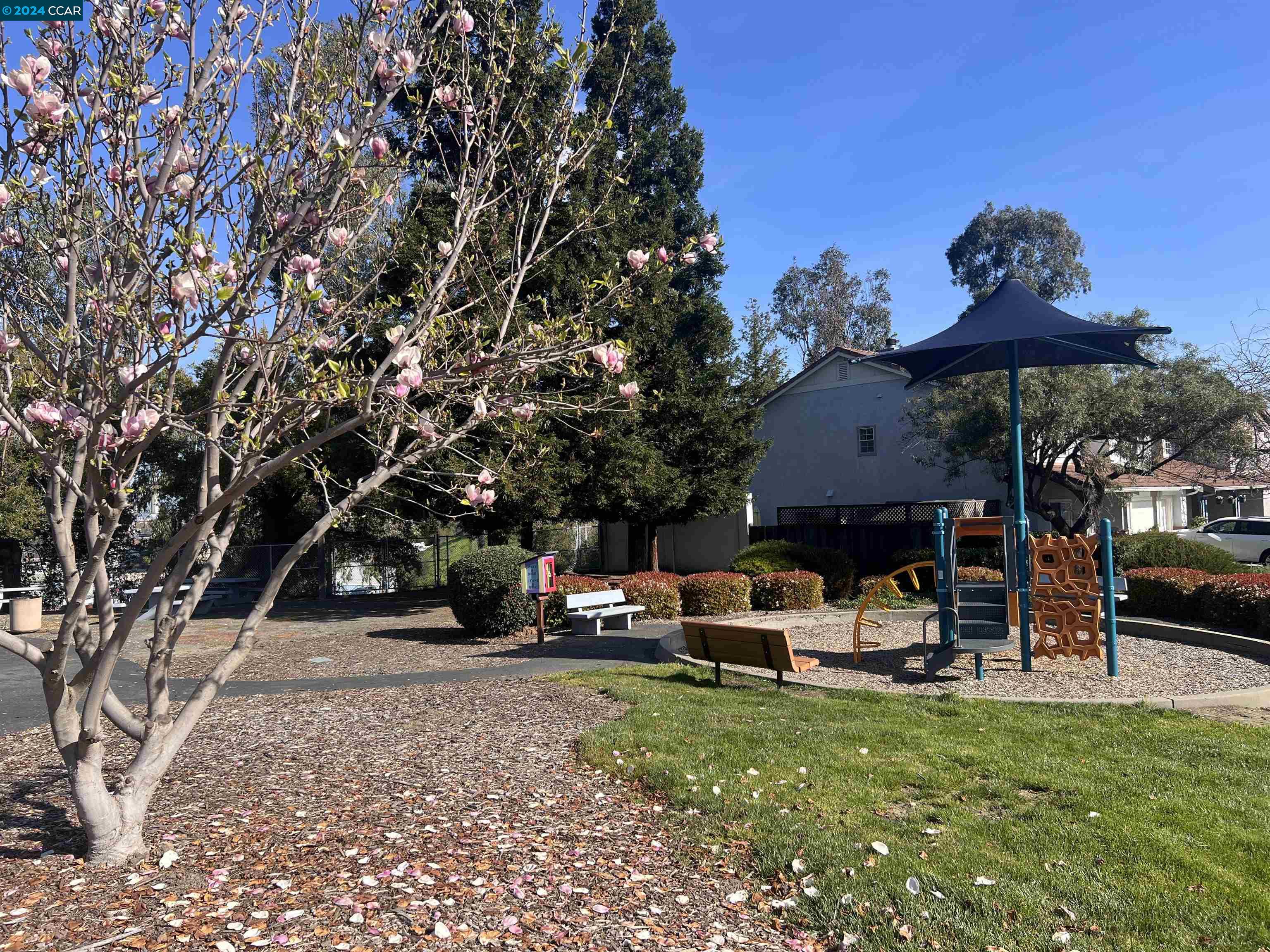407 Orchard View Ave