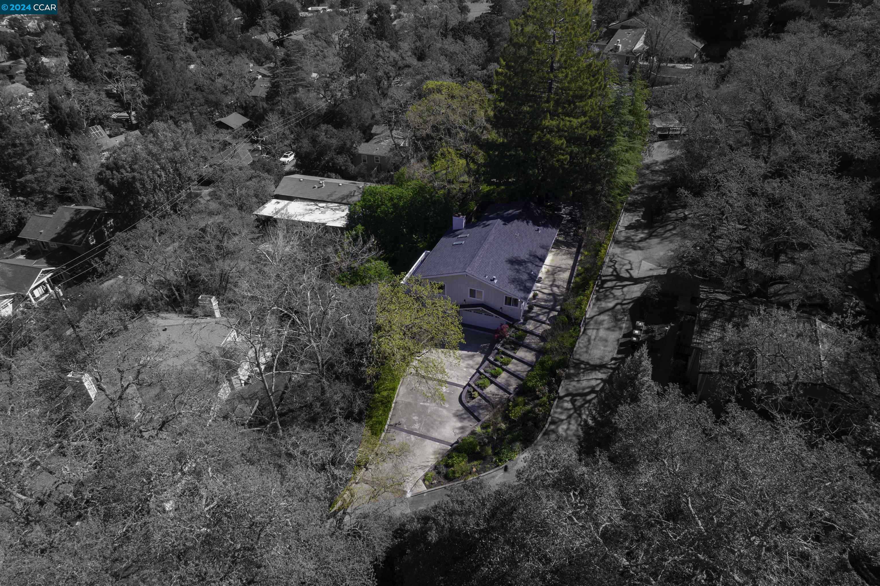 3620 Cerrito Ct