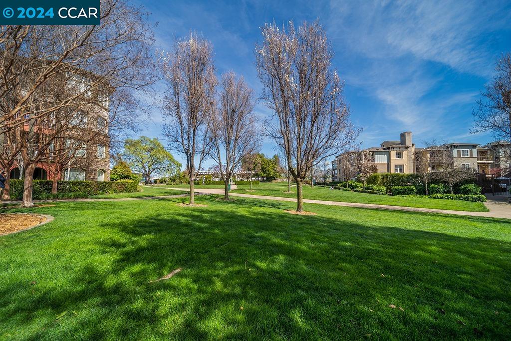 1800 Alma Ave # 209
