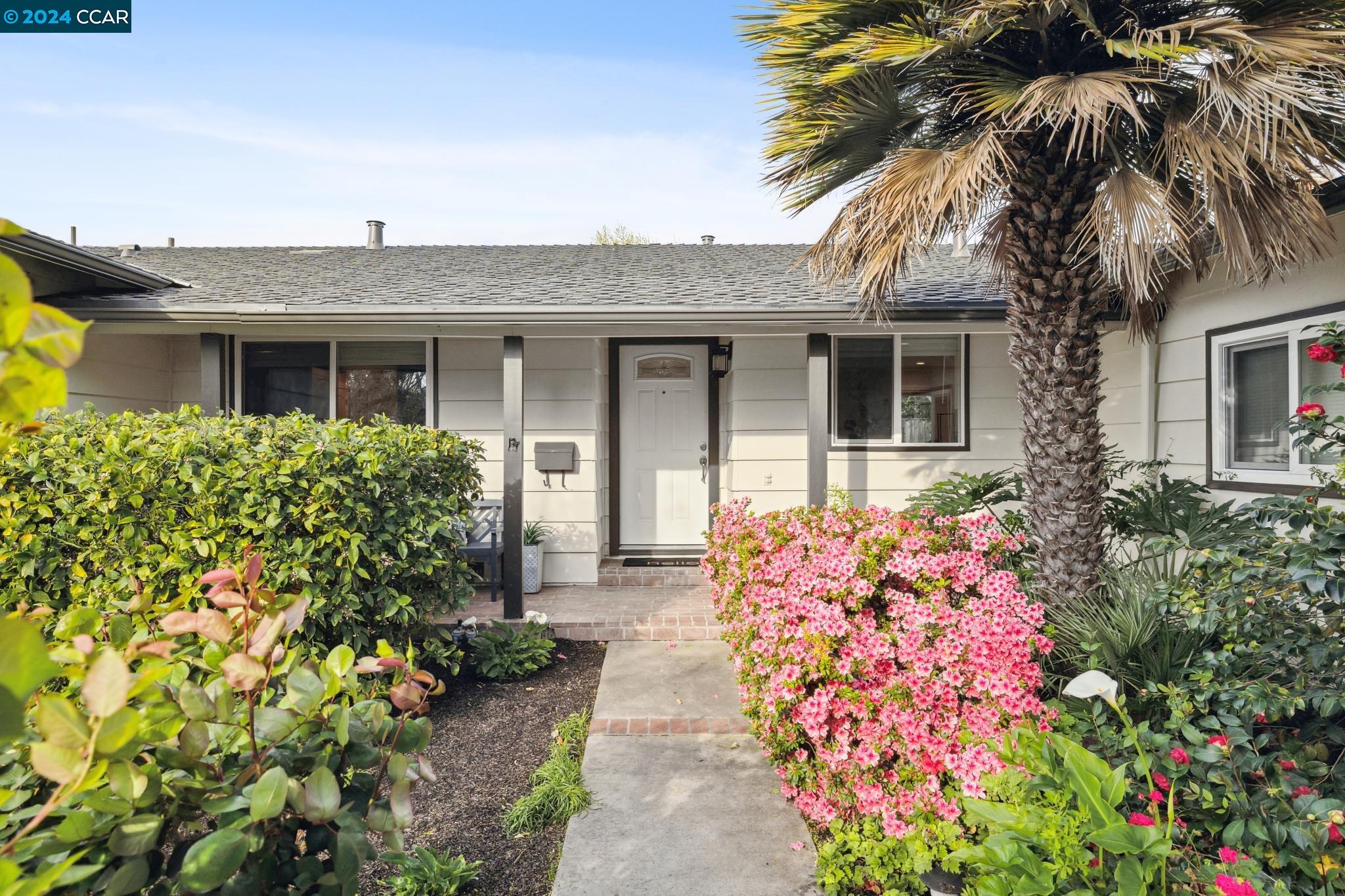 746 San Luis Ct
