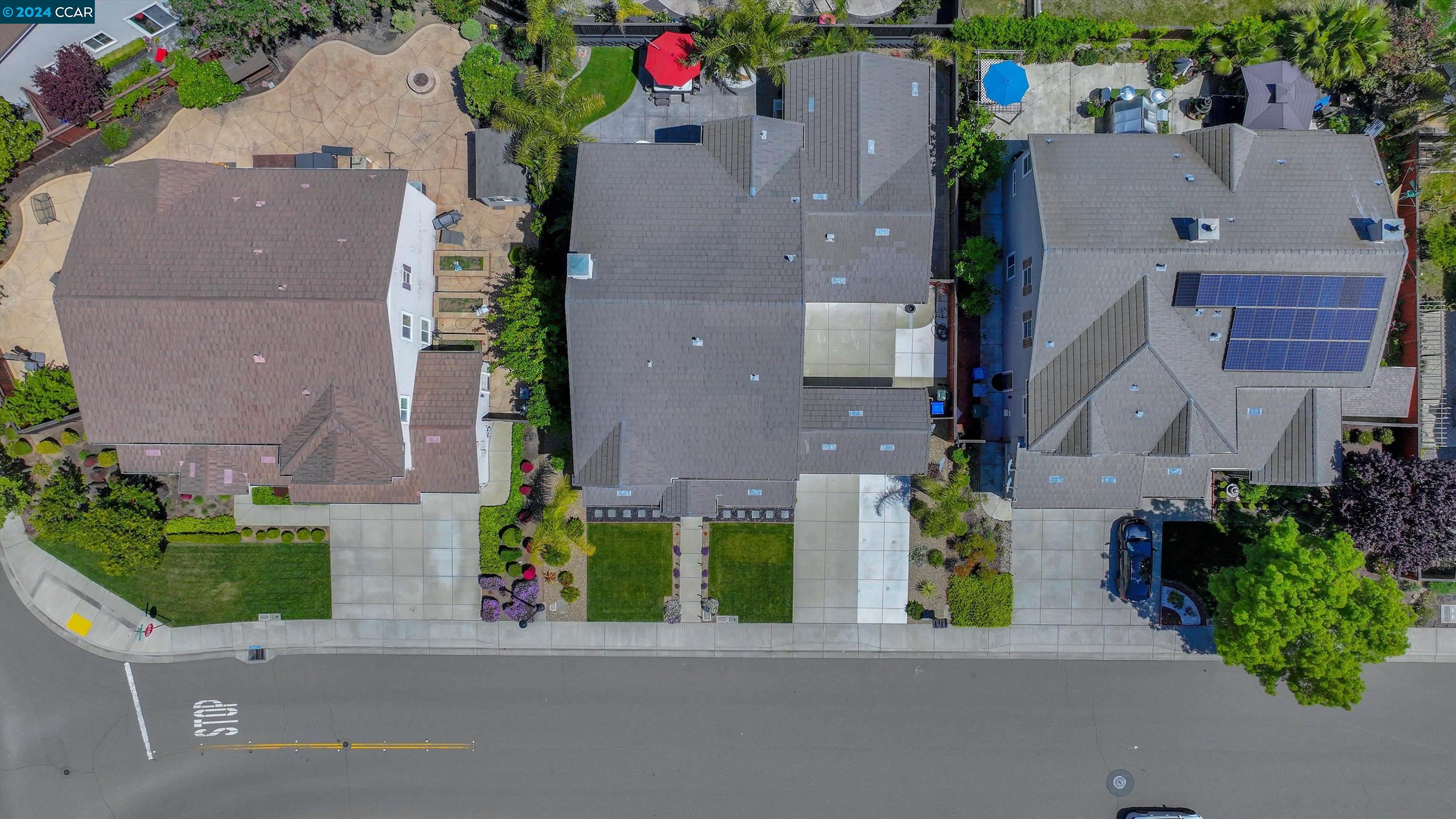 1013 Hollyhock Dr