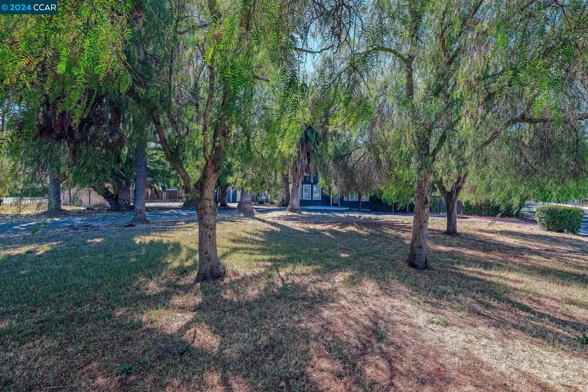 3800 Cowell Road