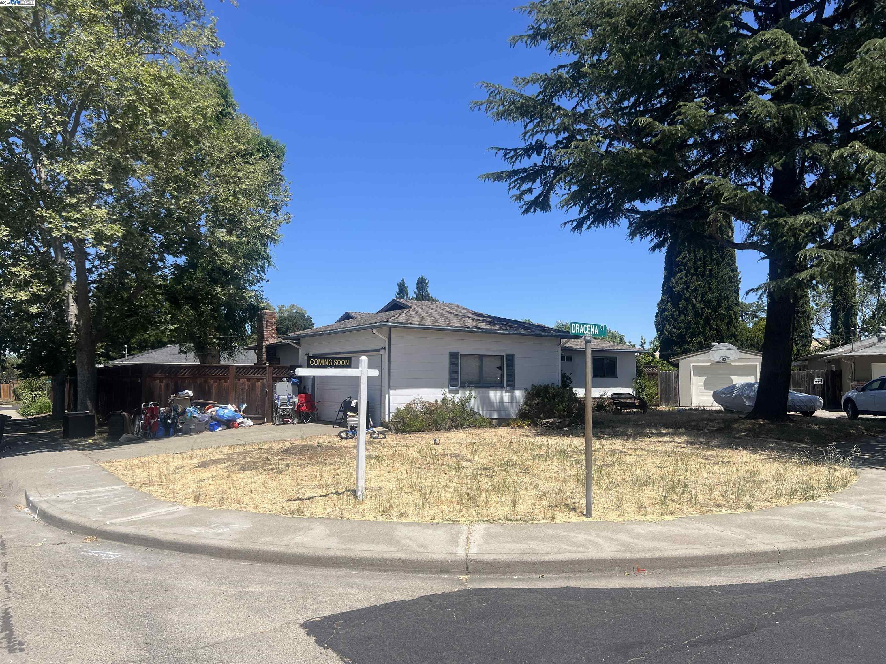 3979 Dracena Ct