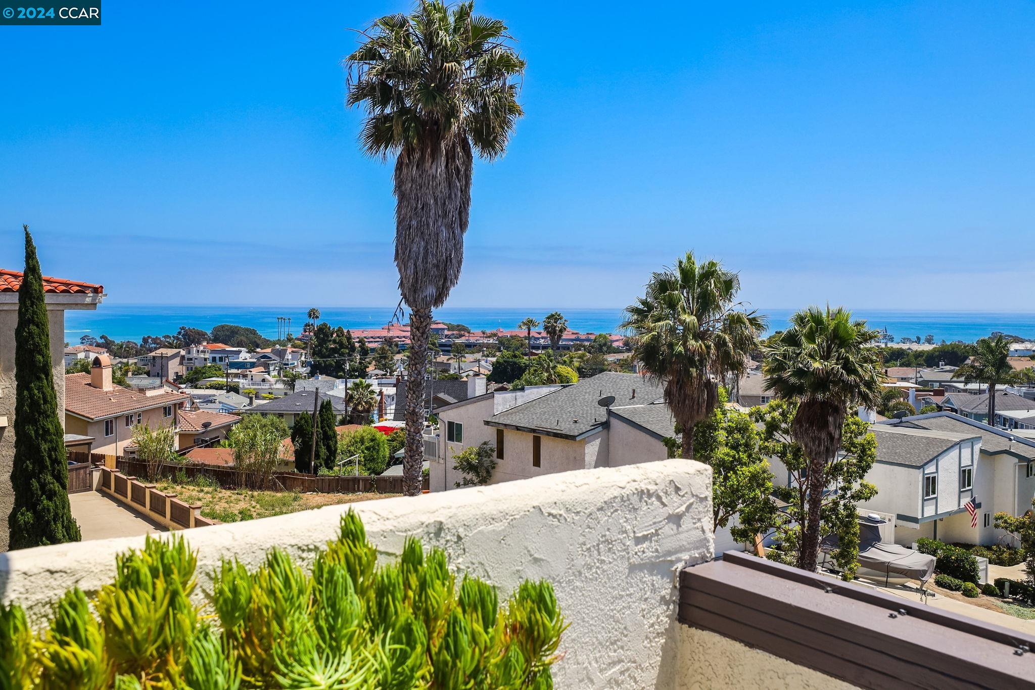 33901 Mariana Drive # 1 Unit: #1