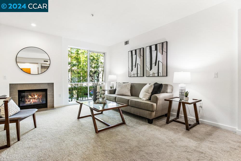 1655 N CALIFORNIA BLVD # 238