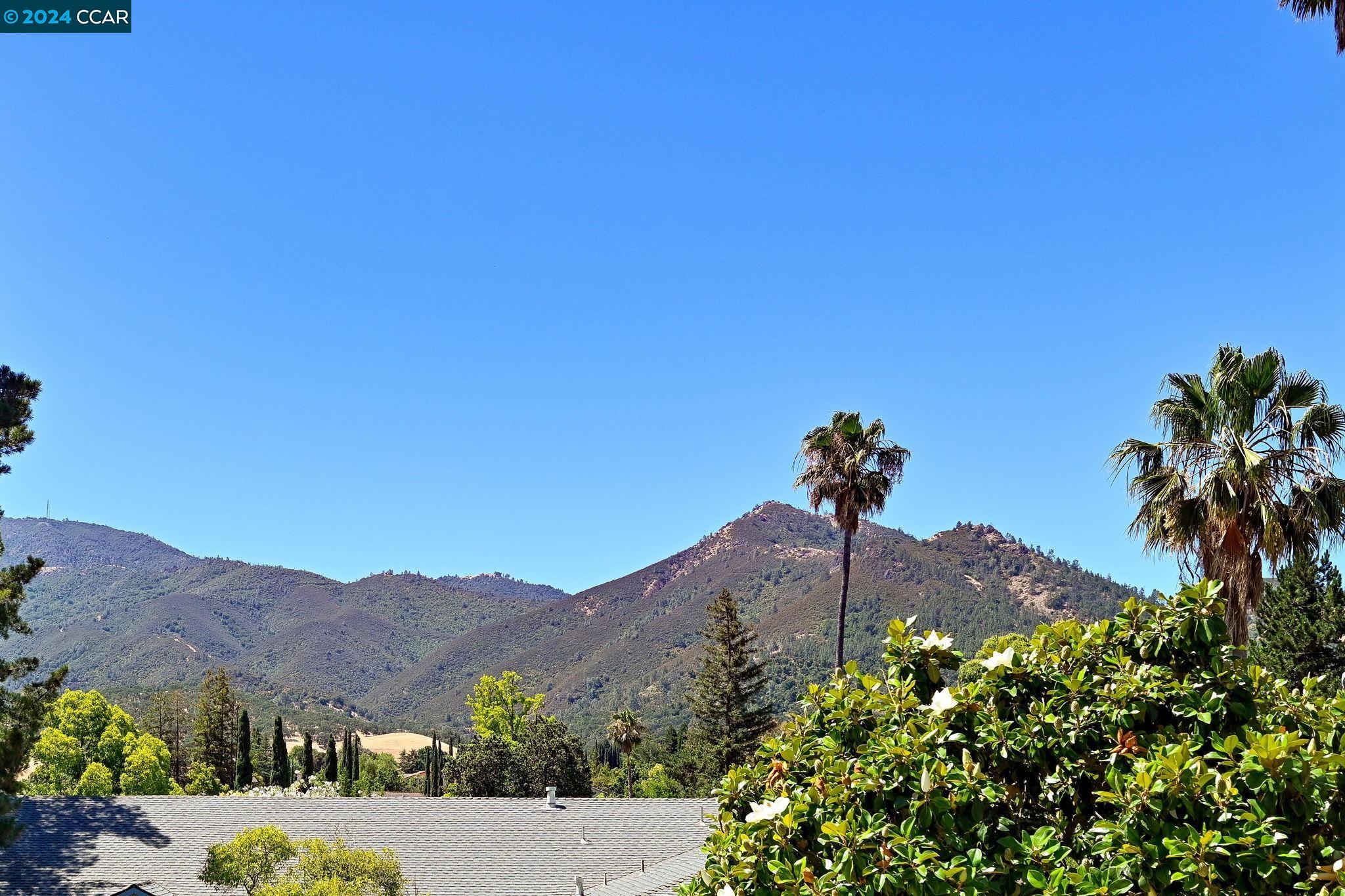 203 Mt Wilson Pl