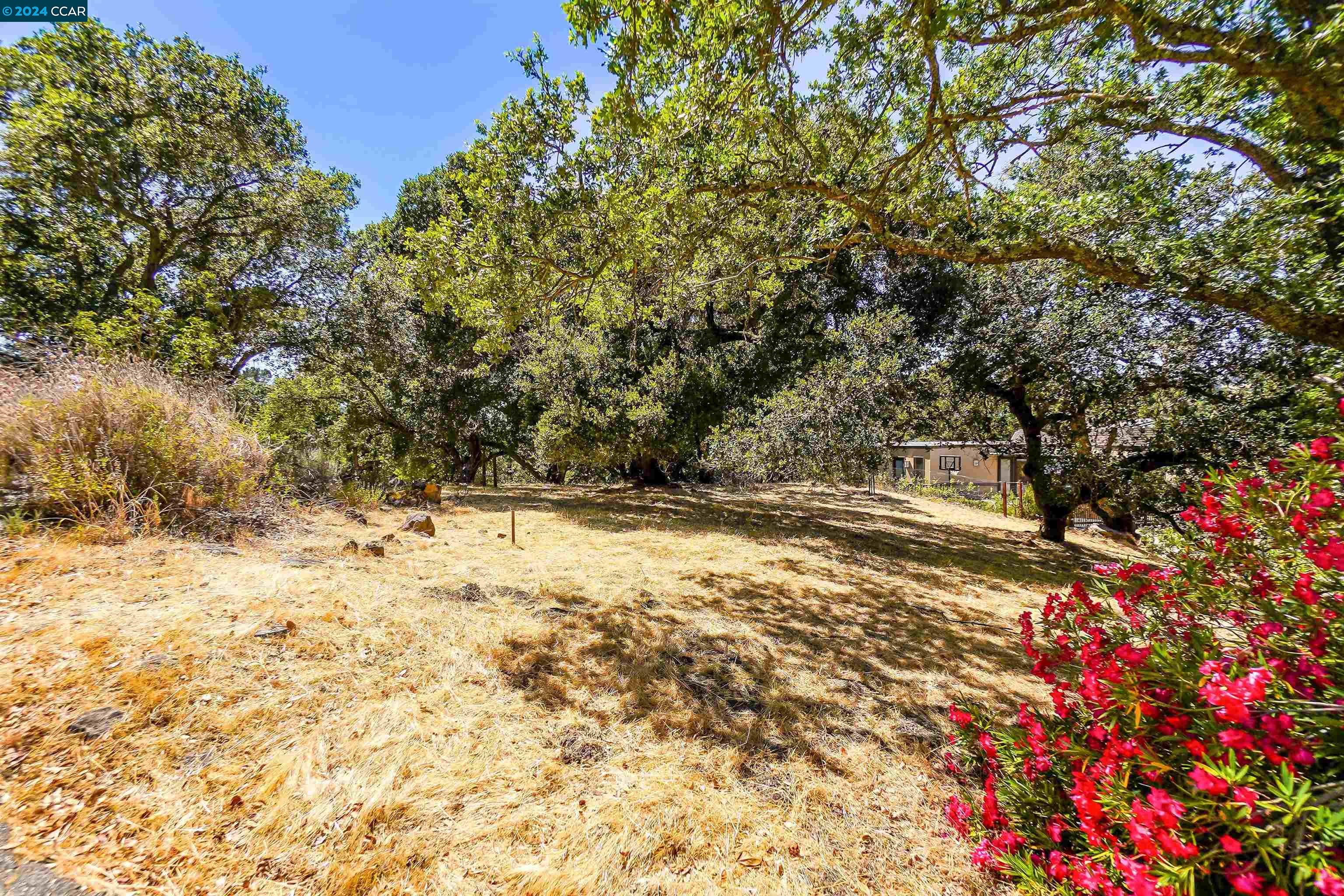8 Richelle Ct