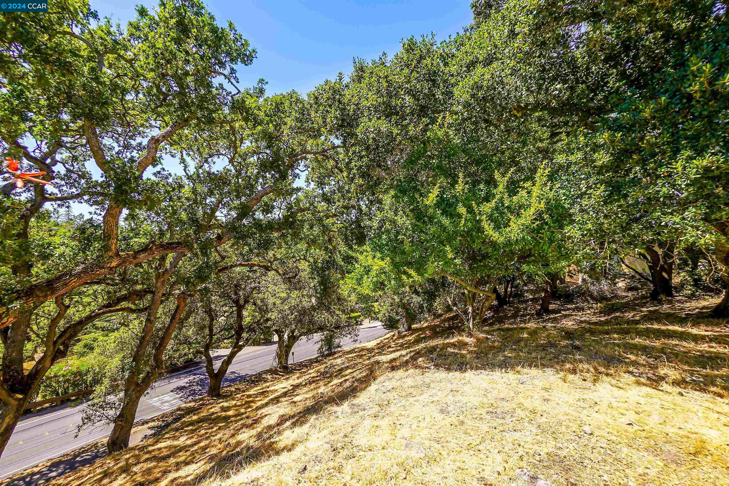 8 Richelle Ct