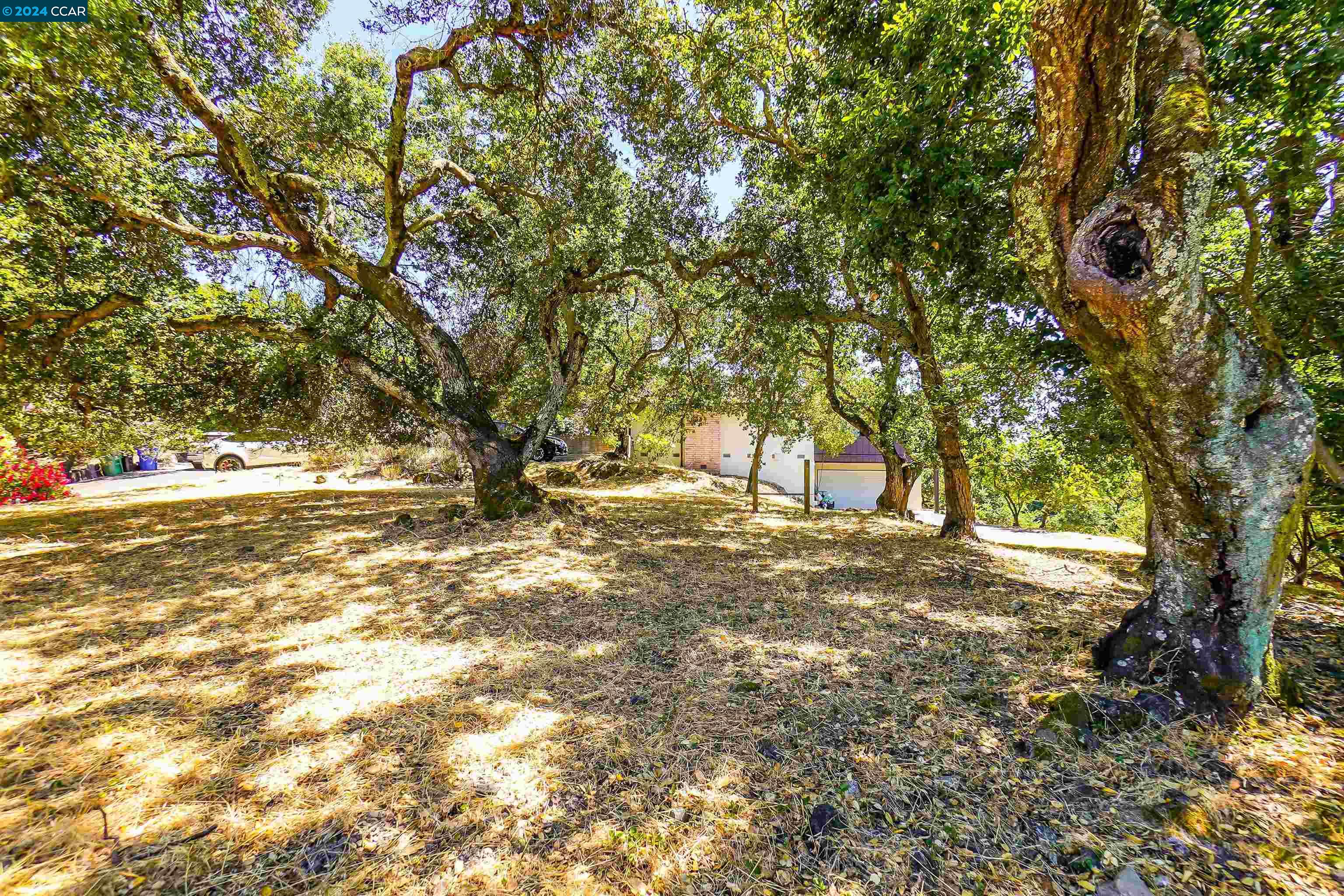 8 Richelle Ct