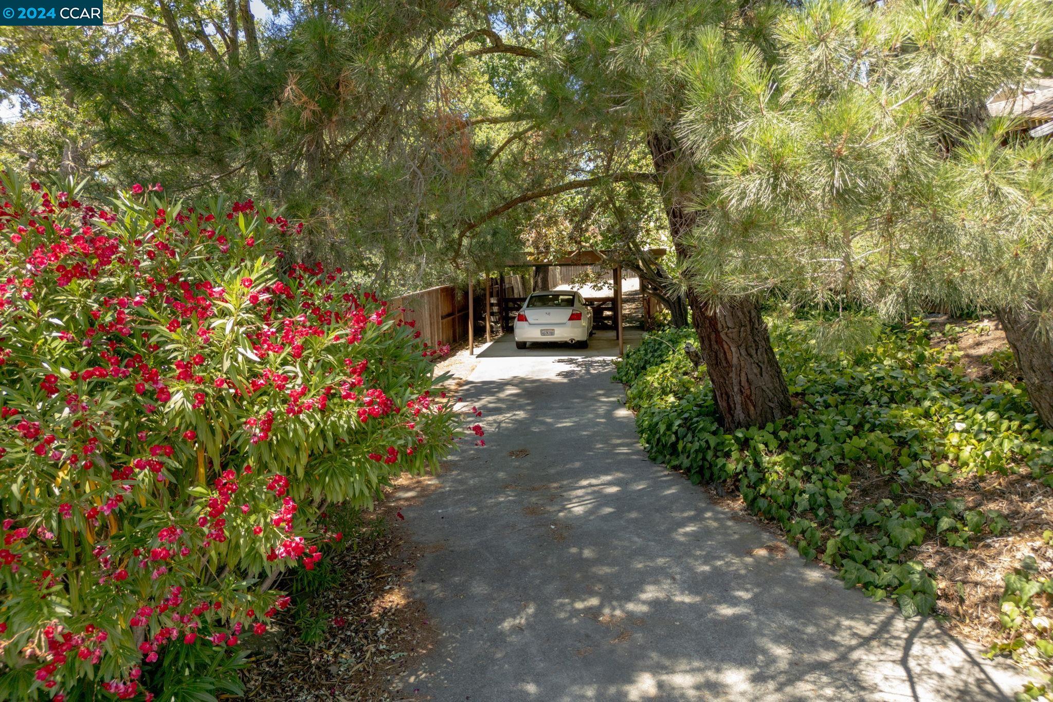 1015 Juanita Dr
