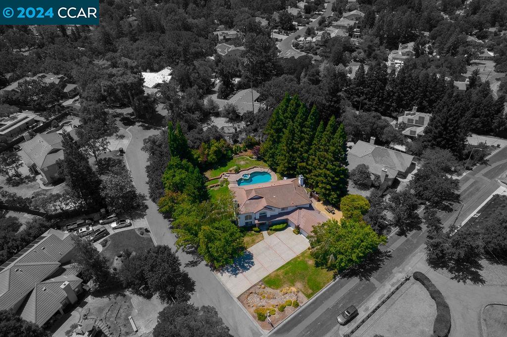 11 Blackwood Court