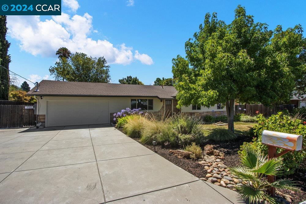 3703 San Michelle Dr