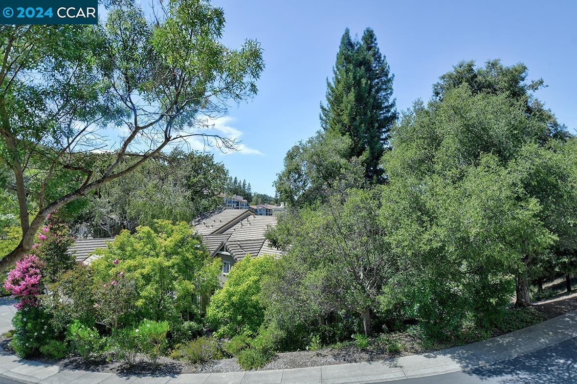 4737 Terra Granada Dr # 2A