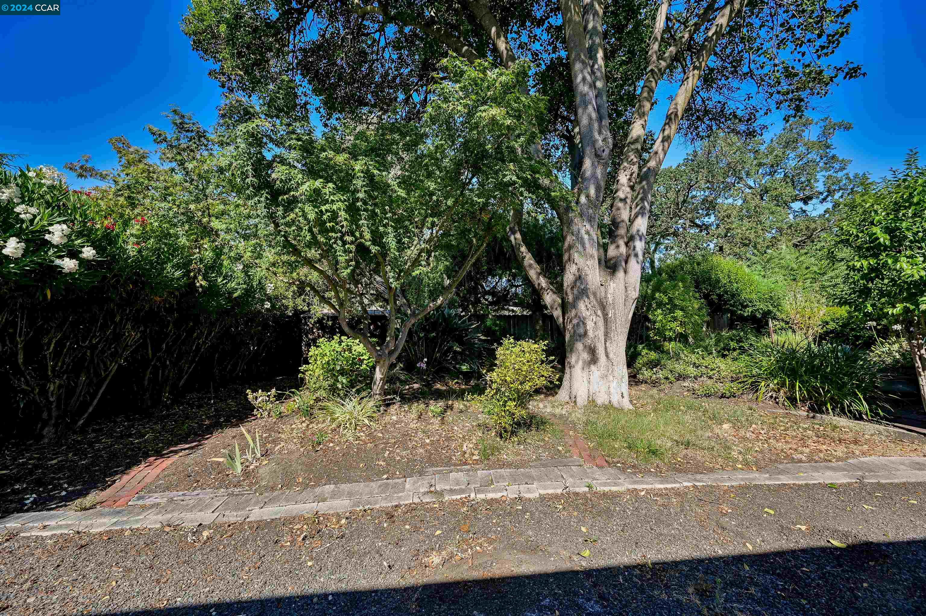 924 Ruth Drive