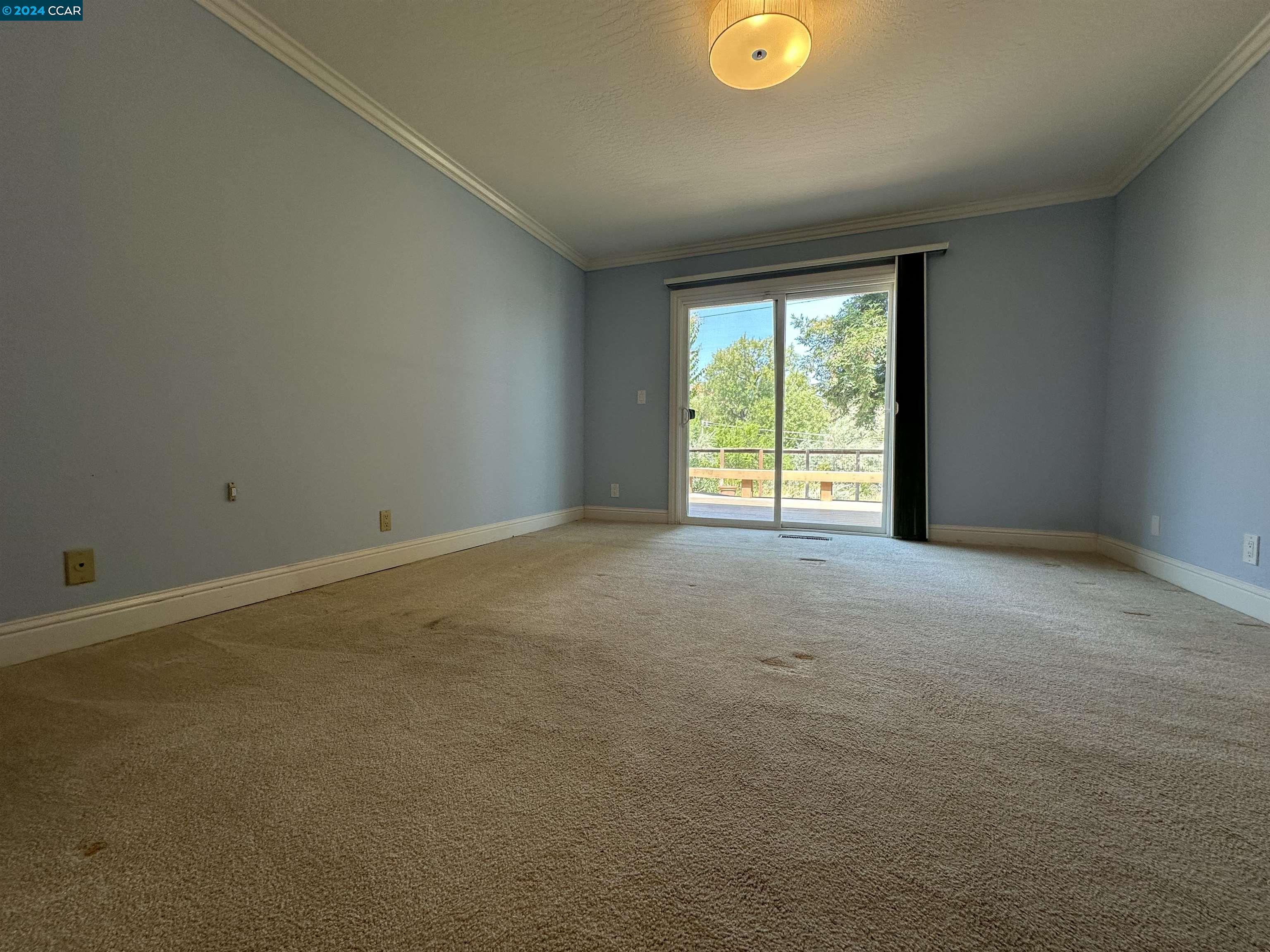 16 Swan Ct
