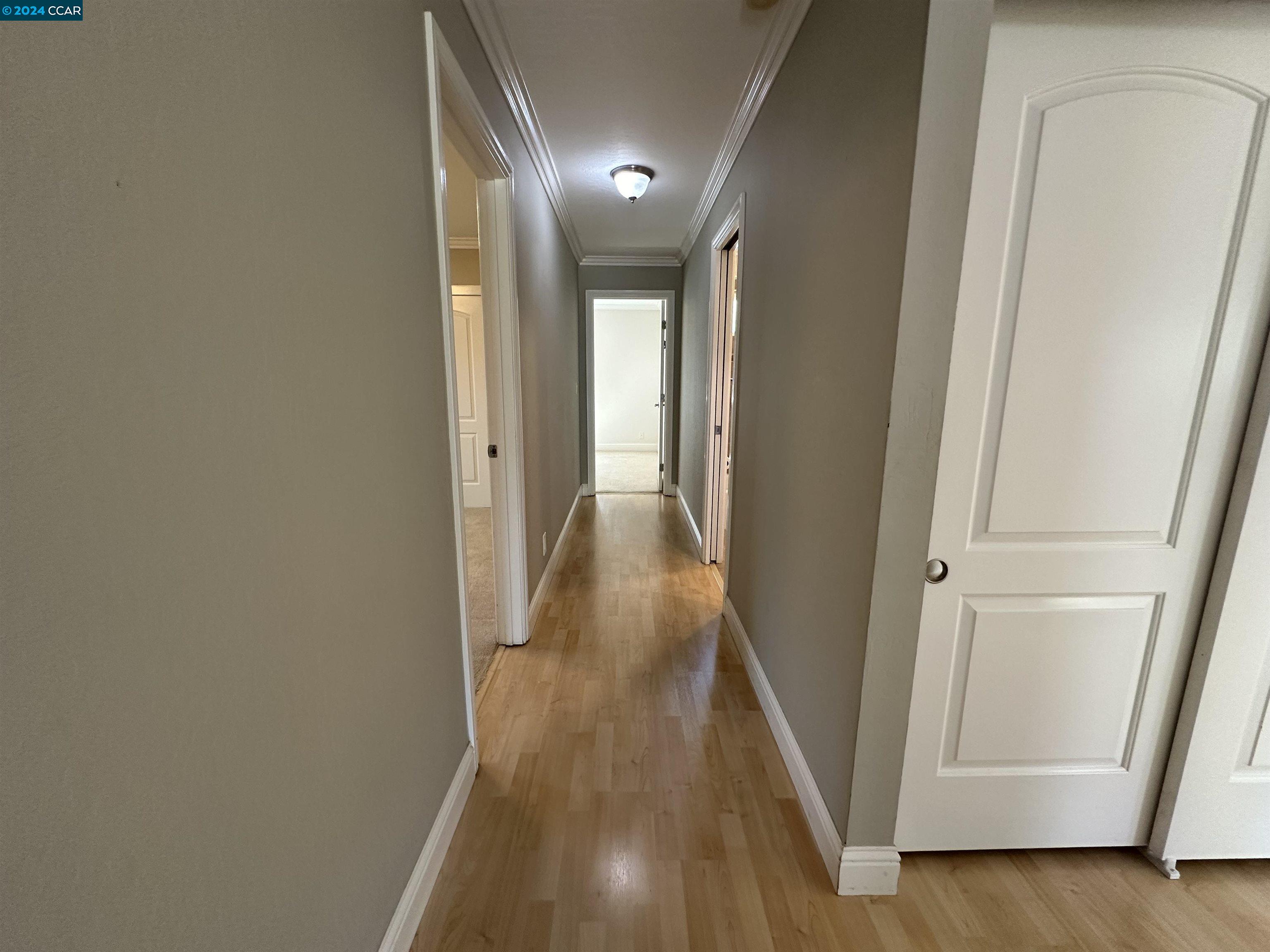 16 Swan Ct